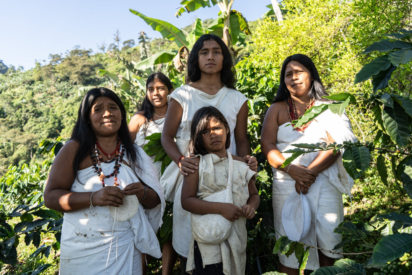 The Younger Brothers Kogi Coffee -Espresso Roast- 12 oz bag